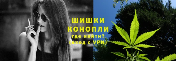 гашик Михайловск
