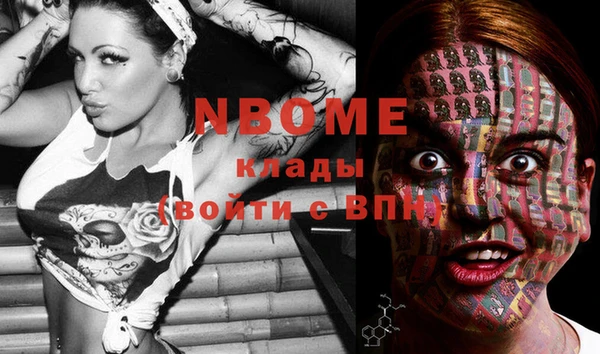 сатива Михайлов