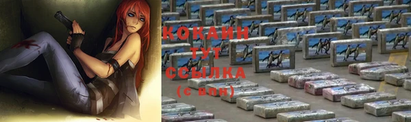 сатива Михайлов