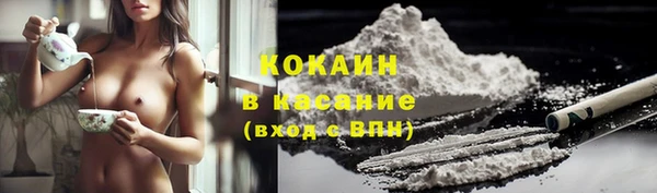 сатива Михайлов