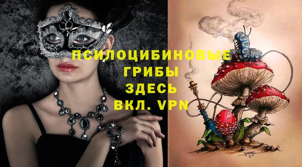 гашик Михайловск