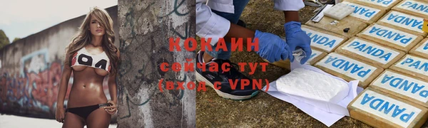 гашик Михайловск